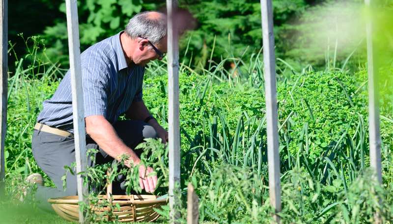 Chez nous le potager est cultivé par Francis